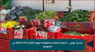 تحديث يومي.. أسعار الخضار والفواكه اليوم الثلاثاء 19-8-2025 في المنوفية